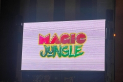 MagicJungle