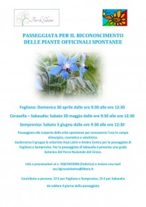 passeggiata il girasole